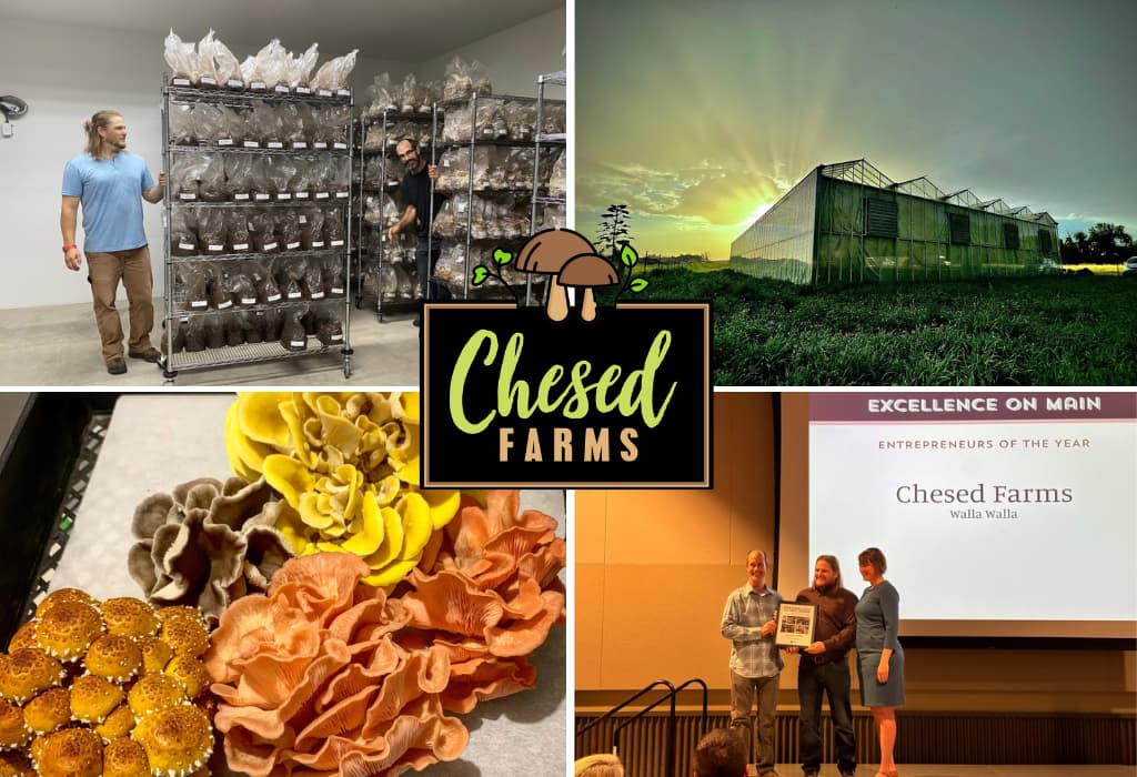 Cheesed Farms