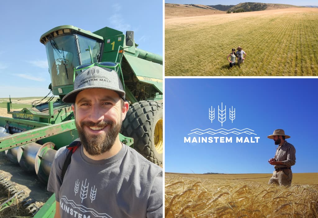 Mainstem Malt